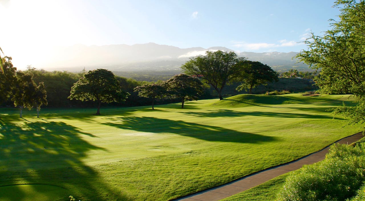 Serene view of a lush green golf course surrounded by trees and mountains, bathed in sunlight.